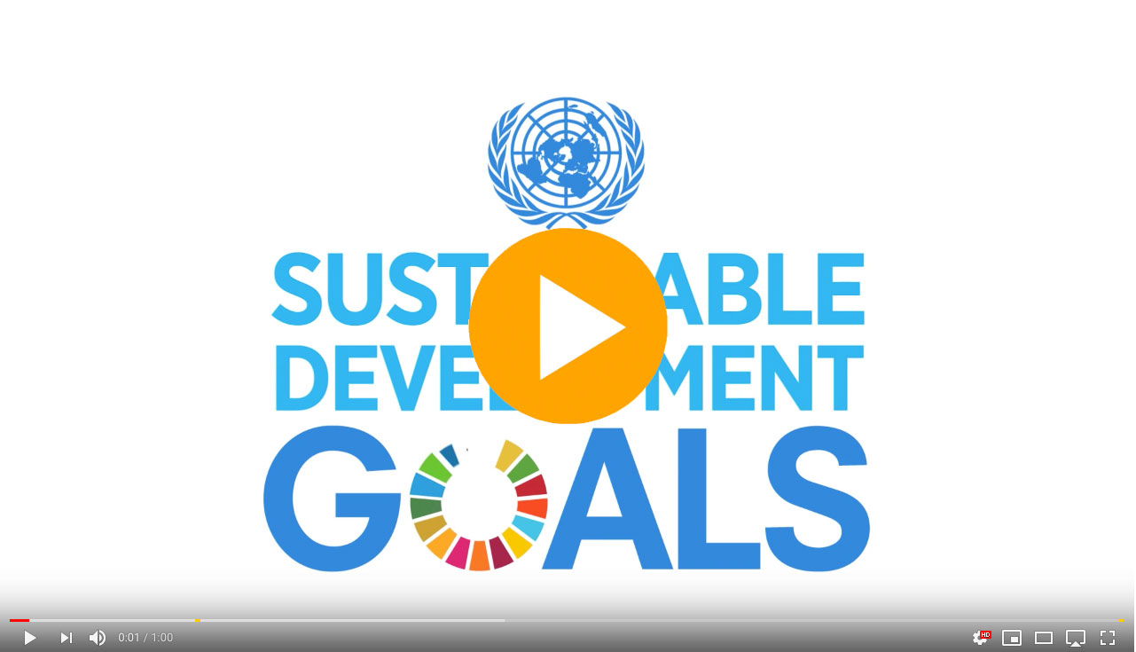 UN SDG video FBRH GRI Certified course